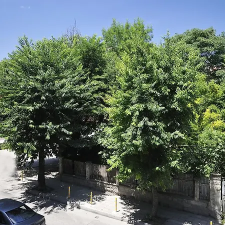 Parchevich וארנה