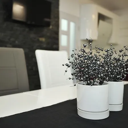 Apartment Parchevich